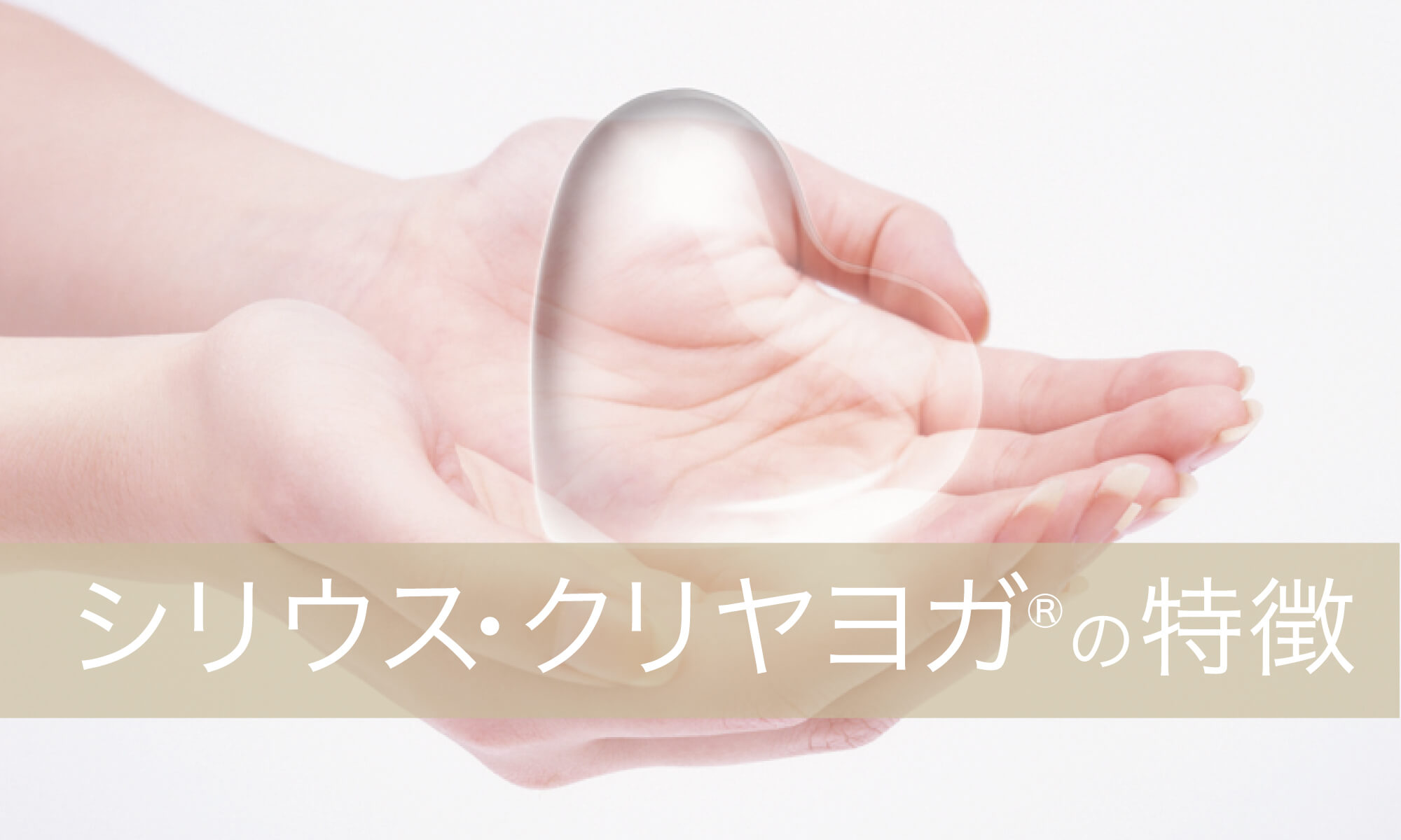 シリウス・クリヤヨガの特徴のイメージ画像